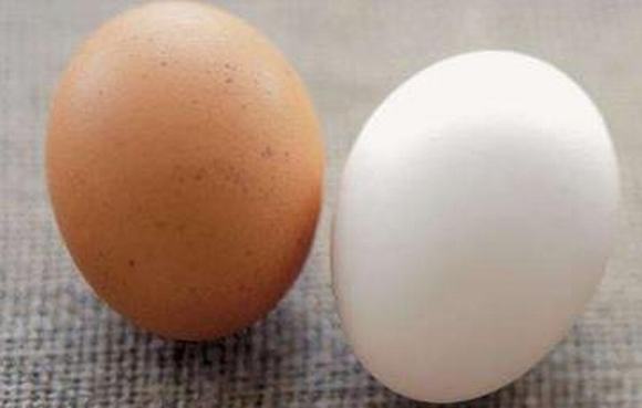 trứng, mua trứng, trứng nhiễm độc