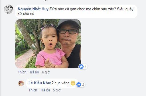 Lê Kiều Như, chồn Lê Kiều Như, sao Việt