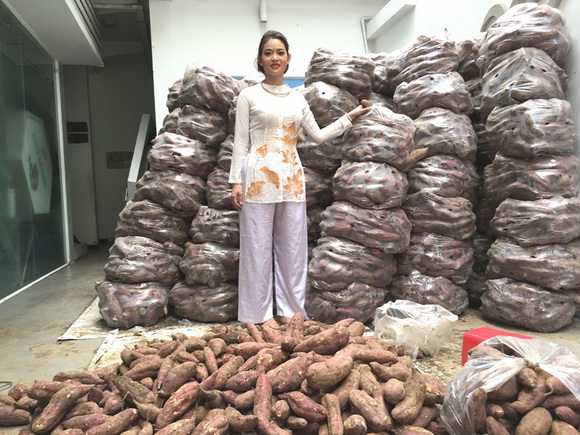 Bác sĩ thẩm mỹ Xuân Trường, Á hậu Hoàng Yến, sao việt