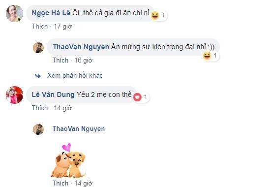 MC Thảo Vân, Thảo Vân, sao Việt