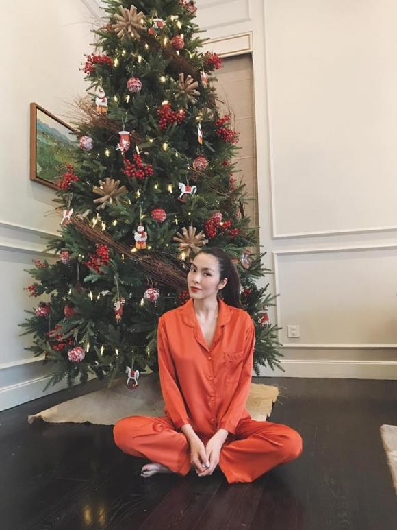 vườn nhà Tăng Thanh Hà 0 Tăng Thanh Hà, vườn hoa của Tăng Thanh Hà, sao Việt