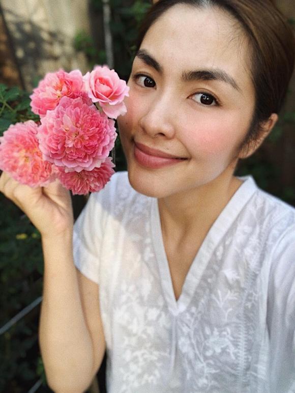 Tăng Thanh Hà, vườn hoa của Tăng Thanh Hà, sao Việt