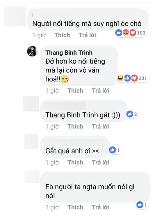 Trịnh Thăng Bình, sao việt