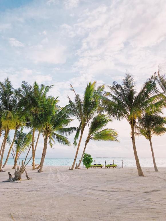 quang vinh, quang vinh du lịch, quang vinh đi maldives