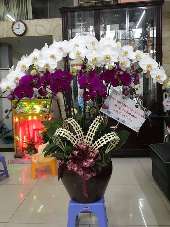 NSND Kim Cương đã đến nhà Quốc Cơ và Quốc Nghiệp 10 Quốc Cơ và Quốc Nghiệp, NSND Kim Cương, sao Việt