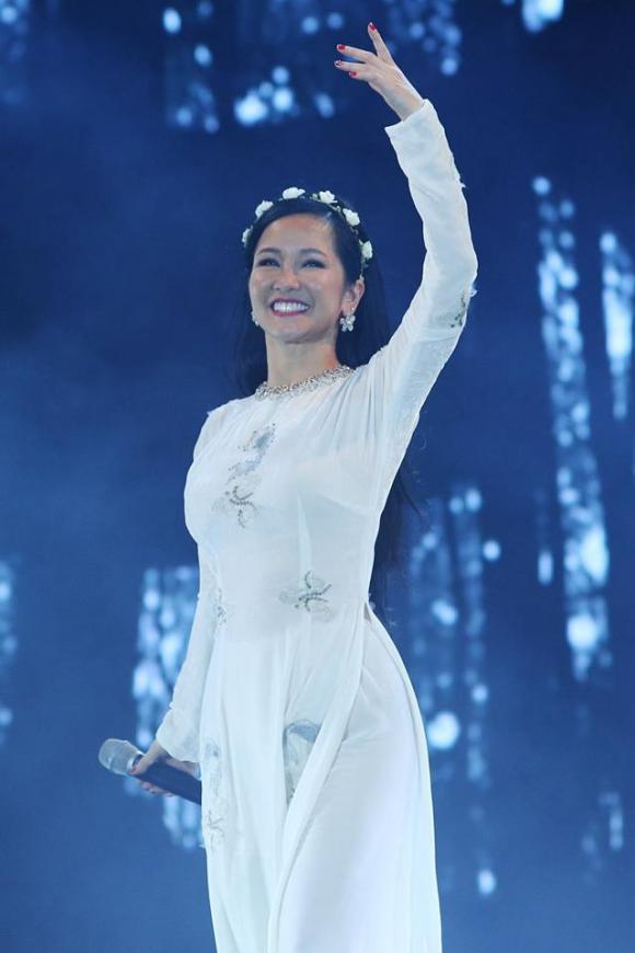 Hồng Nhung, Hồng Nhung ly hôn, sao Việt