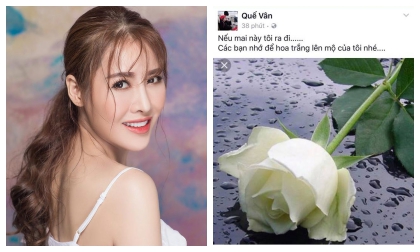 Quế Vân, diễn viên Việt Anh, sao Việt