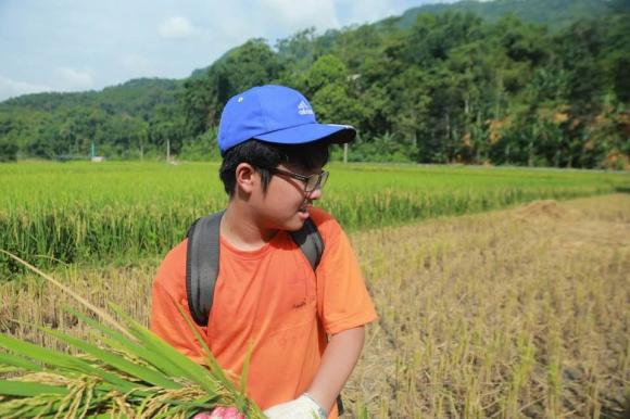 thảo vân,công lý, đời sống sao