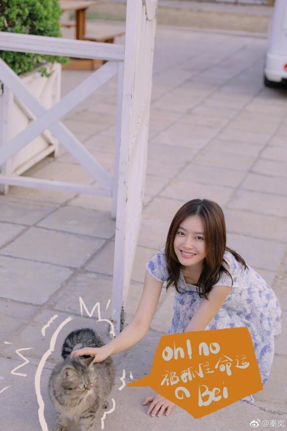 diên hi công lược, tần lam, xa thi mạn, phim hoa ngữ