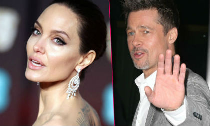 Diễn viên Angelina Jolie,Angelina Jolie và Brad Pitt ly hôn, sao hollywood