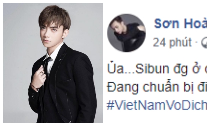 Soobin Hoàng Sơn, bạn gái Soobin Hoàng Sơn, sao Việt