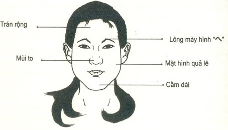 Tướng phụ nữ xấu, Nhân tướng học, Xem tướng phụ nữ