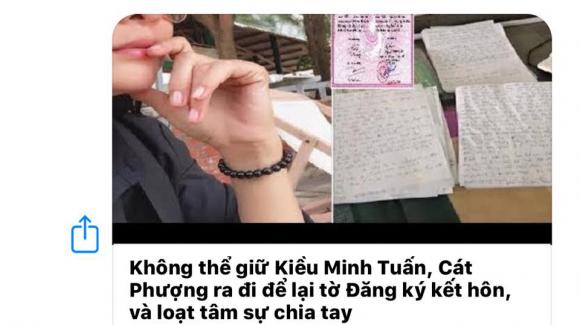 Cát Phượng, Kiều Minh Tuấn, sao Việt