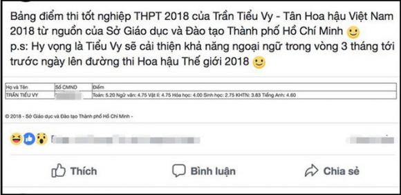 Hoa hậu Việt Nam 2018, Trần Tiểu Vy, sao Việt