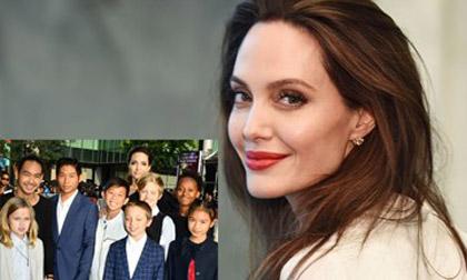 Brad Pitt,Angelina Jolie,Angelina Jolie ly hôn