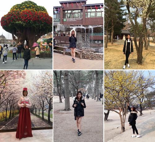 Mỹ phẩm skinaz, Mỹ phẩm hàn quốc, Đại lý Skinaz