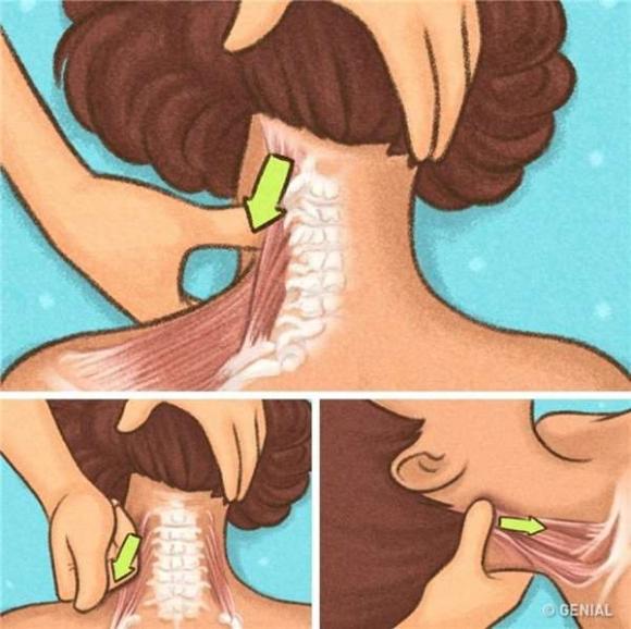 5-massage-toan-than-ngoisao.vn-w600-h598 2 trở thành chuyên gia massage, massage cho bạn đời, cách massage toàn thân