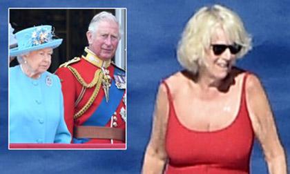 Hoàng gia Anh,Thái tử Charles,bà Camilla