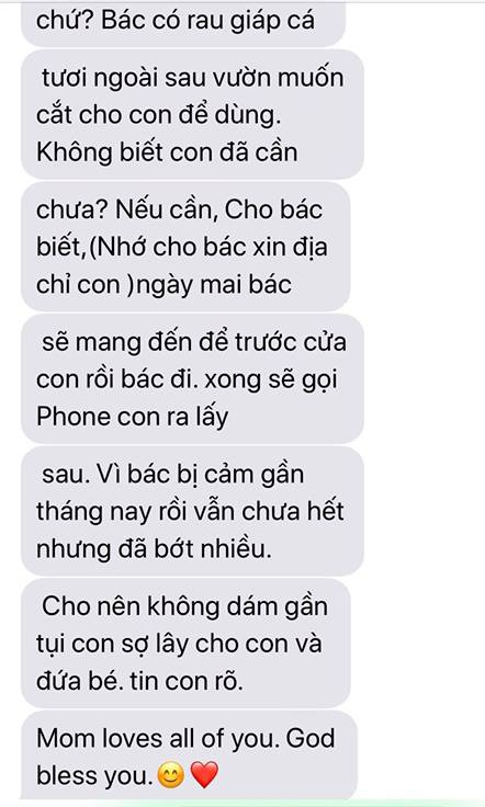 ca sĩ Thanh Thảo, mẹ chồng Thanh Thảo, sao Việt