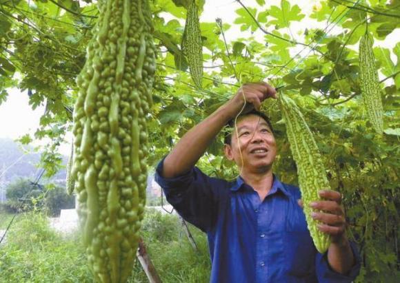 tiểu đường, điều trị bệnh tiểu đường, thực phẩm cho bệnh nhân tiểu đường