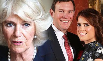 Hoàng gia Anh,Thái tử Charles,bà Camilla