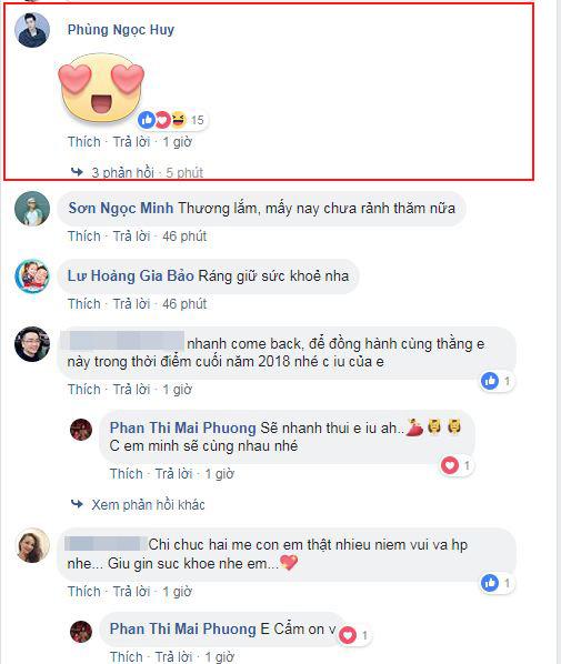 Mai Phương, Phùng Ngọc Huy, con gái của Mai Phương, sao Việt