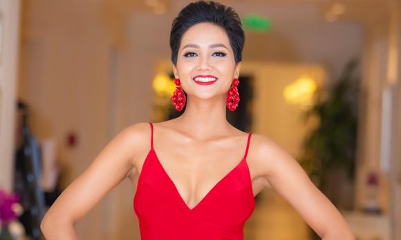 H'Hen Niê, Hoa hậu Hoàn vũ Thế giới, sao Việt