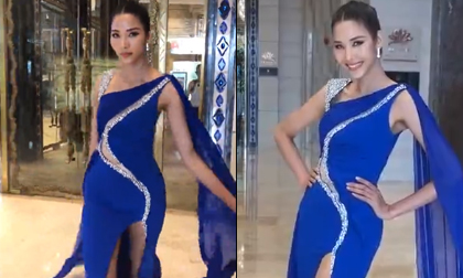 Miss Universe 2018, Hoàng Thùy, H'Hen Niê