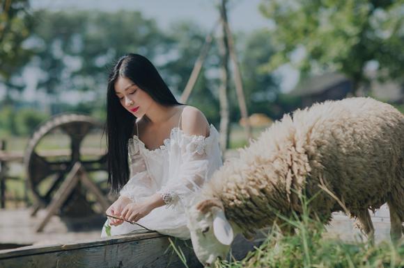 Quán quân sao mai,sao mai thu hằng,ca sĩ thu hằng