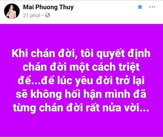 điểm tin sao Việt, sao Việt tháng 11, sao Việt,Hari Won Trấn Thành, Mai Phương Thúy