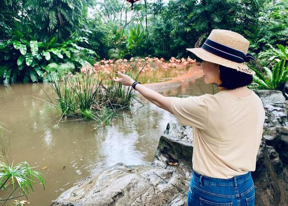 Ca sĩ phan đinh tùng,ca sĩ thái ngọc bích,vợ chồng phan đinh tùng du lịch