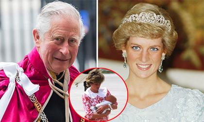 Công nương Diana,Thái tử Charles,Hoàng gia Anh