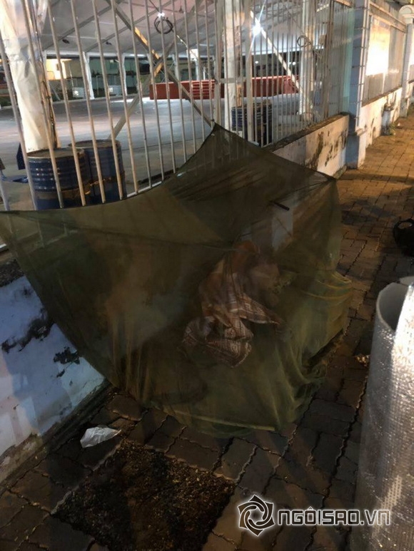 cau-chuyen-ve-cau-be-13-tuoi-1511-9-ngoisao.vn-w580-h773 4 MC Tấn Tài, Gương mặt truyền hình 2018