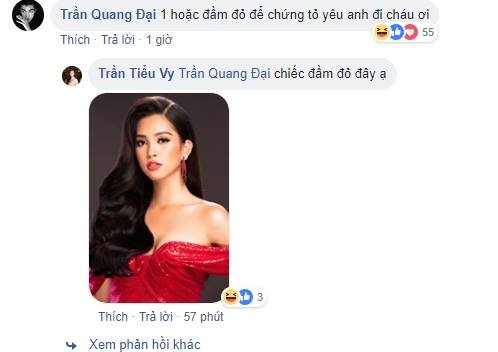 Hoa hậu Tiểu Vy, Tiểu Vy, Quang Đại