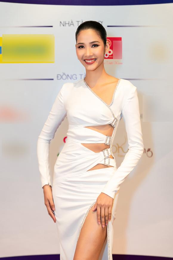 HHen Niê, hoa hậu hoàn vũ việt nam, Miss Universe
