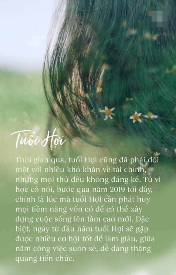 tử vi, con giáp, tử vi 2019, hợi, mùi, dần