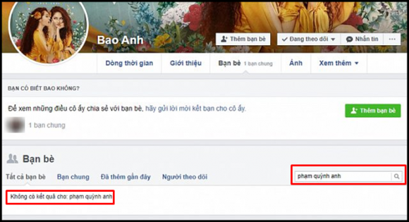 bảo anh, phạm quỳnh anh, quang huy