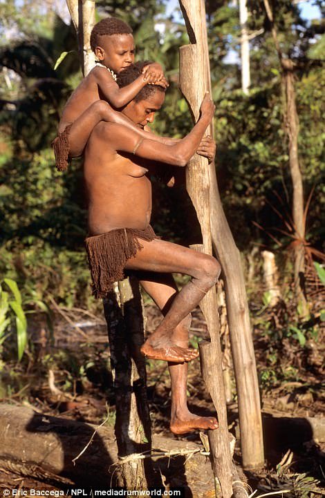 tộc người Indonesia, bộ tộc ăn thịt người, bộ tộc Korowai