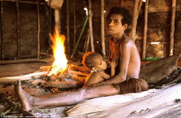 tộc người Indonesia, bộ tộc ăn thịt người, bộ tộc Korowai