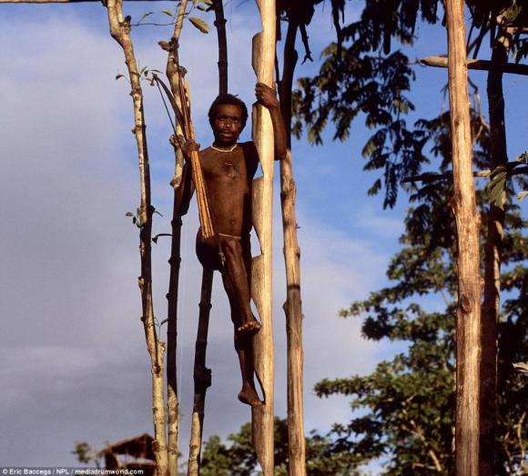 tộc người Indonesia, bộ tộc ăn thịt người, bộ tộc Korowai