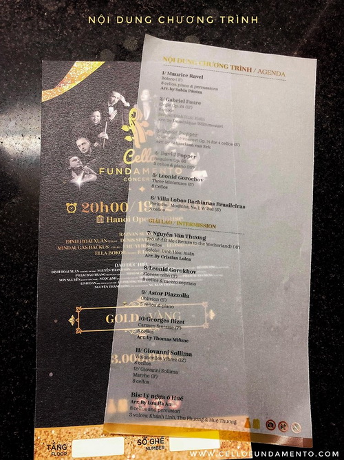 Cello Fundamento concert 3, Nghệ sĩ Đinh Hoài Xuân