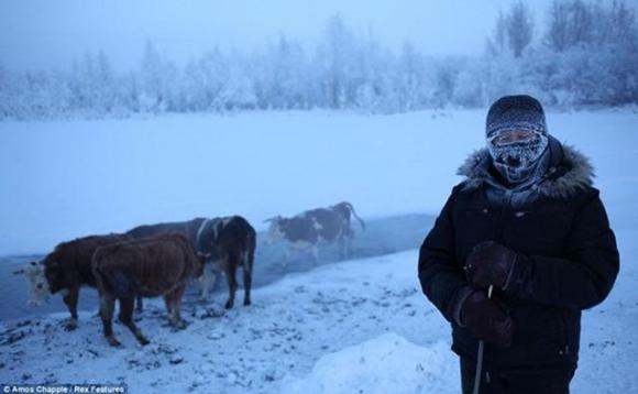 Ngôi làng lạnh nhất thế giới, Làng Oymyakon, chuyện lạ quanh ta
