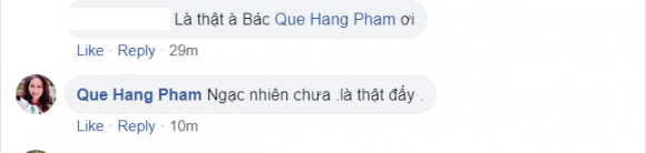 Quốc Khánh,Quế Hằng,sao Việt