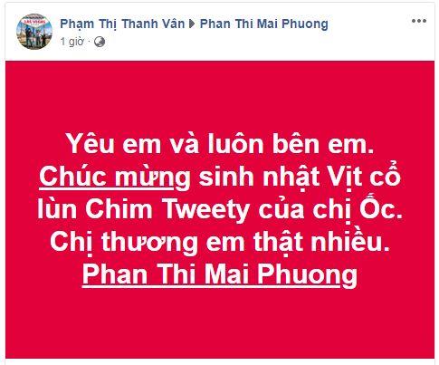 điểm tin sao Việt, sao Việt tháng 1, sao Việt, sao Việt năm 2019,thu phương,tiến đạt, sơn tùng mtp, làn sóng xanh