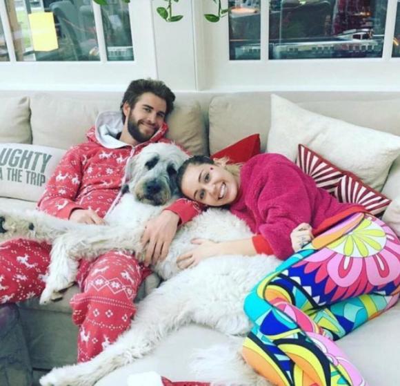 Miley Cyrus,Liam Hemsworth,sao Hollywood