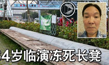 Đàm Tuấn Ngạn,Thái Tư Bối,sao TVB,sao Hong Kong