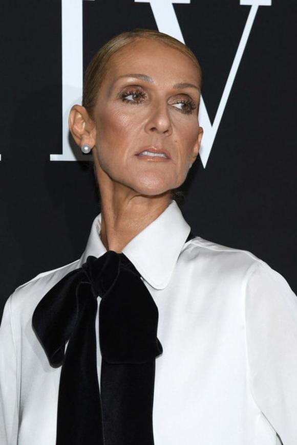 Celine Dion,my heart will go on,sao Hollywood