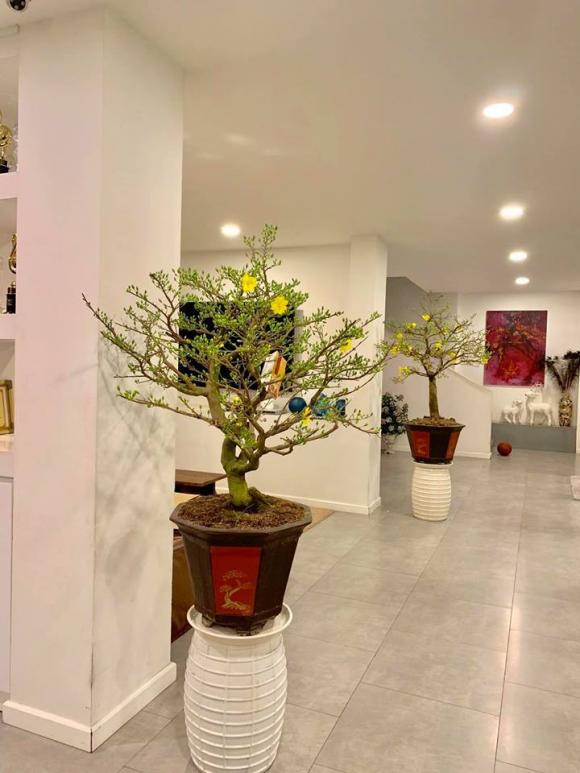 hà hồ, sao việt