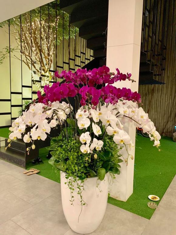 hà hồ, sao việt