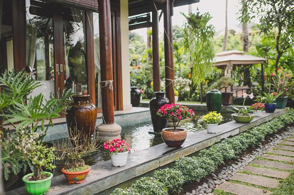 Hà Kiều Anh,Hà Kiều Anh gói bánh chưng,sao Việt